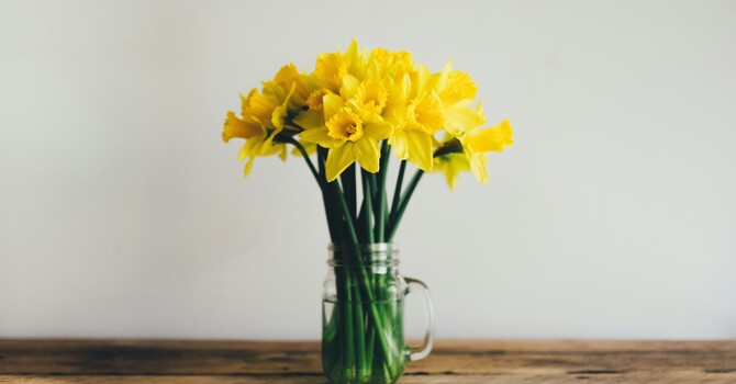 The March Muddle image