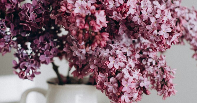 How Dynamic Deconstructive Psychotherapy (DDP) Can Quiet the Noise of Anxiety